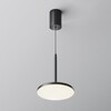 Миниатюра фото подвесной светодиодный светильник maytoni plato p076pl-l12w4k-b | 220svet.ru
