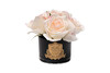 Миниатюра фото диффузор five rose blush10мл garda decor 96cn-rb621 | 220svet.ru