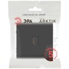 Миниатюра фото розетка эра arktik 16-3114-05 hdmi антрацит б0070508 | 220svet.ru