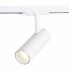 Миниатюра фото трековый светодиодный светильник st luce mono st350.546.10.36 | 220svet.ru