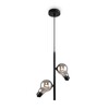 Миниатюра фото подвесной светильник freya evidence fr5372pl-02b | 220svet.ru