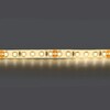 Миниатюра фото светодиодная влагозащищенная лента дневной белый lightstar 12w/m 120led/m 5m 420854 | 220svet.ru