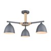 Миниатюра фото потолочная люстра на штанге lumion colange 8096/3c серый | 220svet.ru