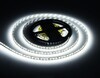 Миниатюра фото светодиодная лента холодный белый ambrella light 9,6w/m 120led/m 2835smd 6500к 5m gs1103 | 220svet.ru