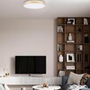 Миниатюра фото потолочный светильник loft it flims 10228/a | 220svet.ru