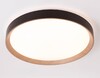 Миниатюра фото потолочный светодиодный светильник ambrella light черный/светлое дерево fz1326 | 220svet.ru