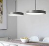 Миниатюра фото подвесной светодиодный светильник imperium loft turna one d40 gray 183488-26 | 220svet.ru