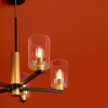 Миниатюра фото потолочная люстра на штанге freya ombre fr2051cl-05bbs | 220svet.ru
