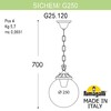 Миниатюра фото подвесной уличный светильник fumagalli sichem/g250. g25.120.000.wxf1r | 220svet.ru