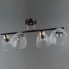 Миниатюра фото потолочная люстра на штанге illumico il0739-4csq-24 bk fgd aries | 220svet.ru